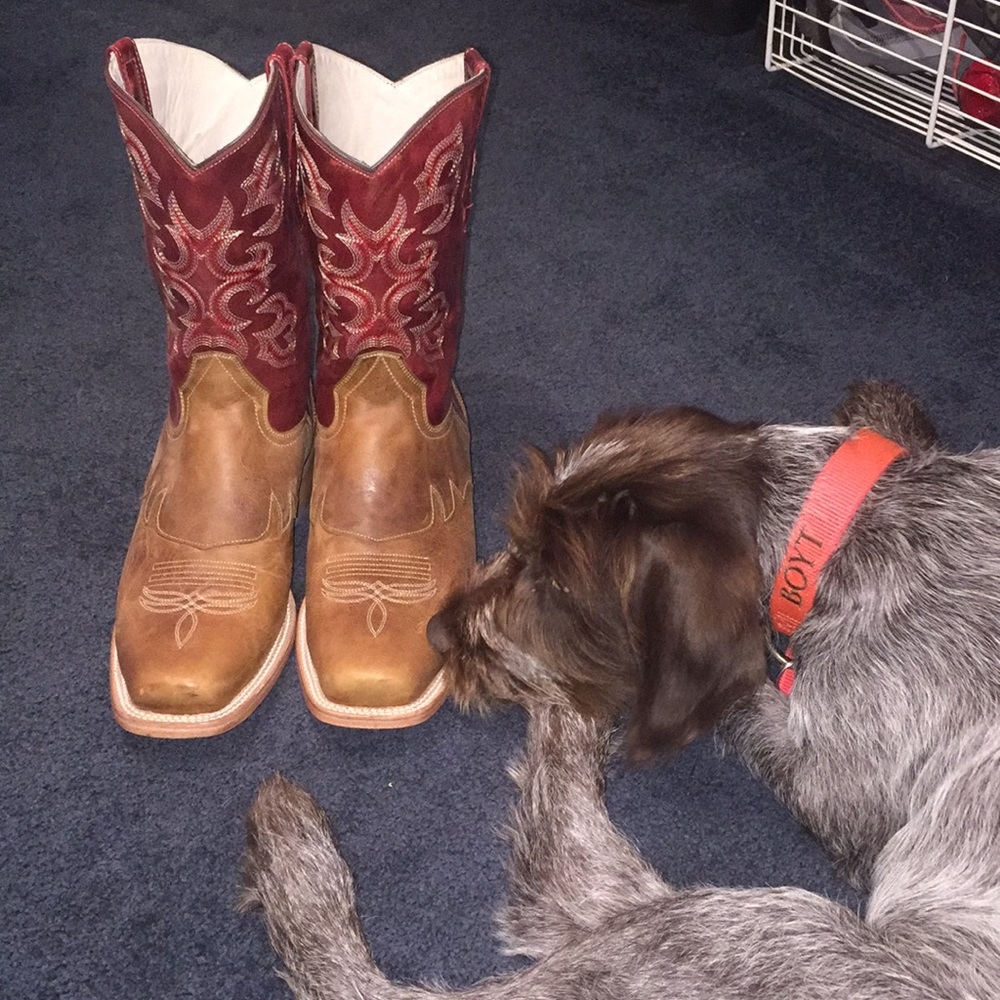 JB Dillon men’s cowboy boots, excellent condition!